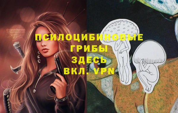 МДМА Михайловка