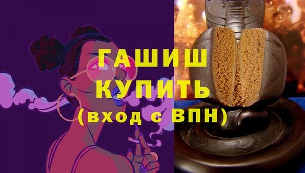 индика Гусиноозёрск